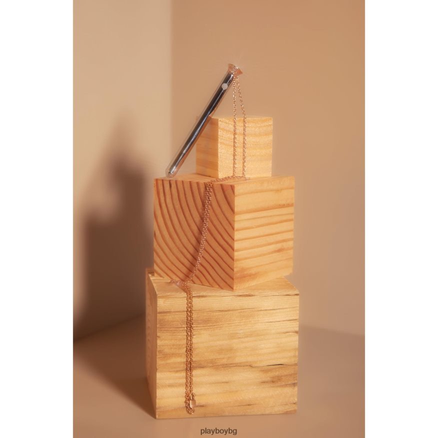 аксесоар бг Playboy Жени вечерня от жажда сребро JZ04JB1596